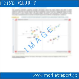 市場と産業調査レポートのイメージ